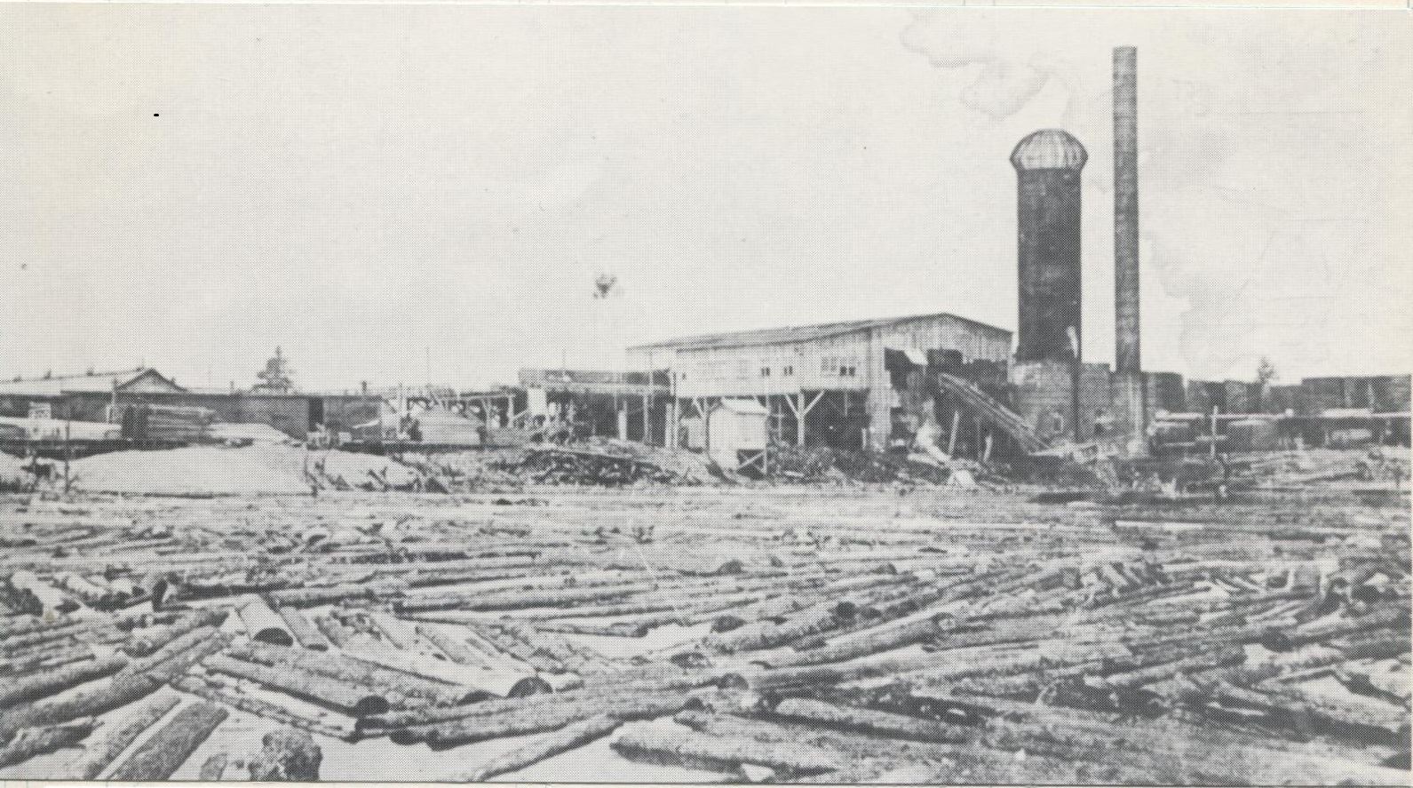 Business - Lumber Mill 2b